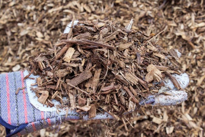 Natural mulch 