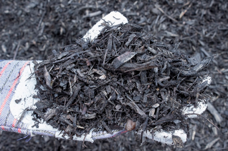 Black mulch 