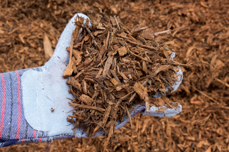 Golden brown mulch 